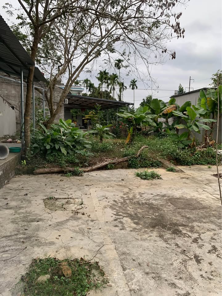 Đất nền đẹp tại số 5 Tỉnh Đội, 240m² giá 1.7 tỷ - Cơ hội đầu tư sinh lời!