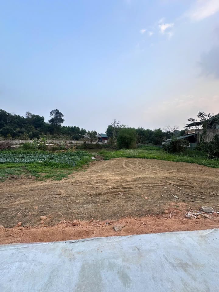 Đất nền Phát Triển S, 176m² - Đường bê tông, Sổ đỏ chính chủ!