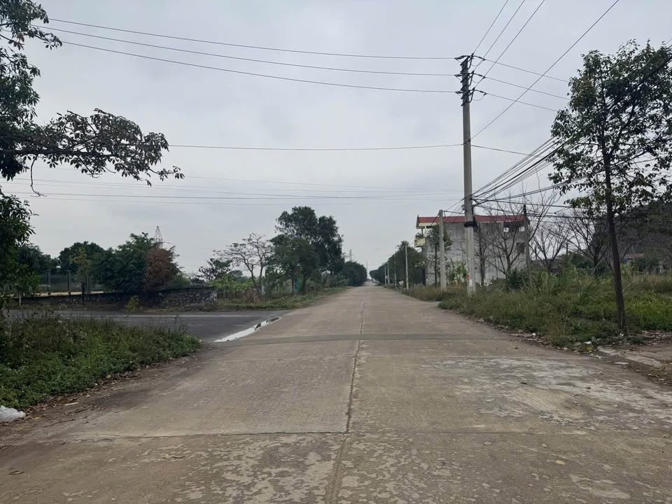 Đất mặt đường Trần Minh Công, Hoa Lư 85m² chỉ 6 tỷ - Đầu tư sinh lời cao!