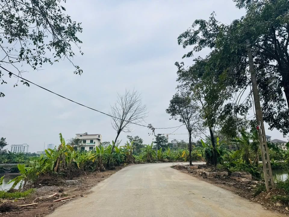 Đất nền gần Vạn Hạnh, Ninh Bình 1170m² - Giá cực hấp dẫn cho khách sạn