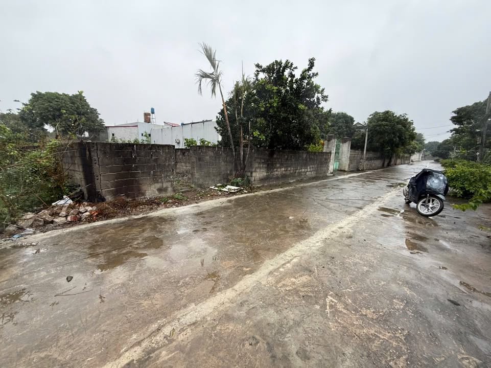 Đất nền Phú Hiền, Hợp Thanh 183m² - Vị trí đẹp, sổ đỏ chính chủ!