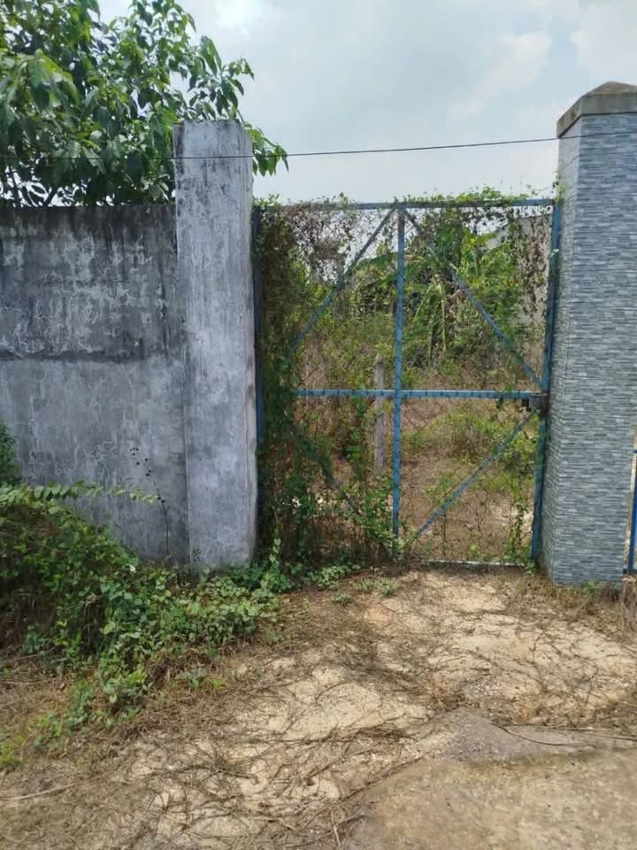 Đất mặt tiền Đường 762, xã An Nhơn Tây 300m² giá 2.5 tỷ - Cơ hội đầu tư tuyệt vời!