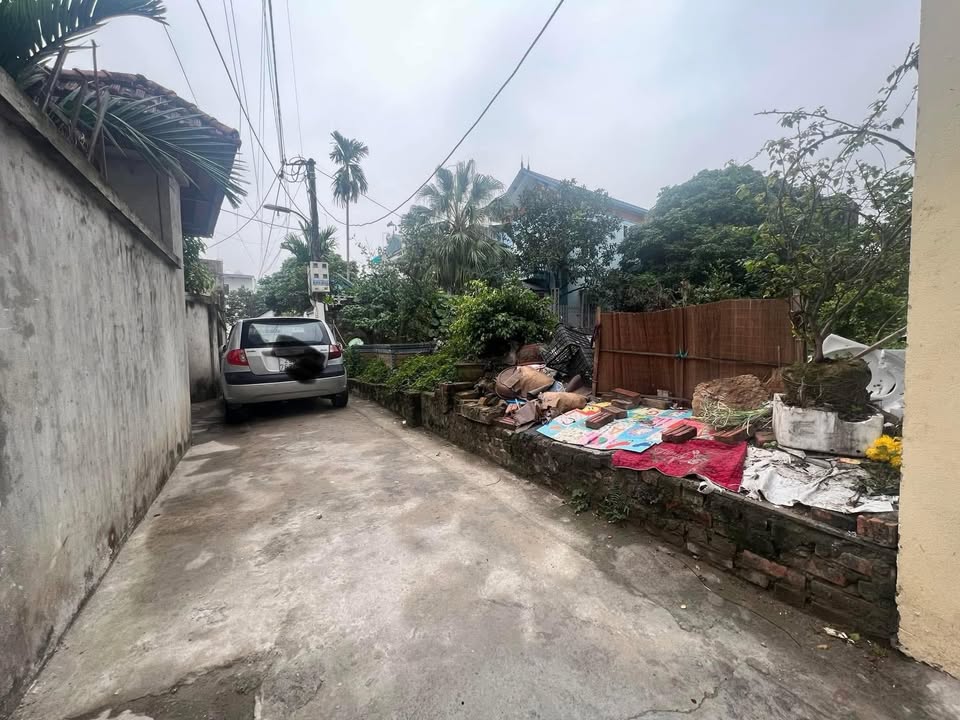 Đất 40m² tại Đại Định, Tam Hưng chỉ 3 tỷ - 3 mặt thoáng, cơ hội đầu tư hấp dẫn!