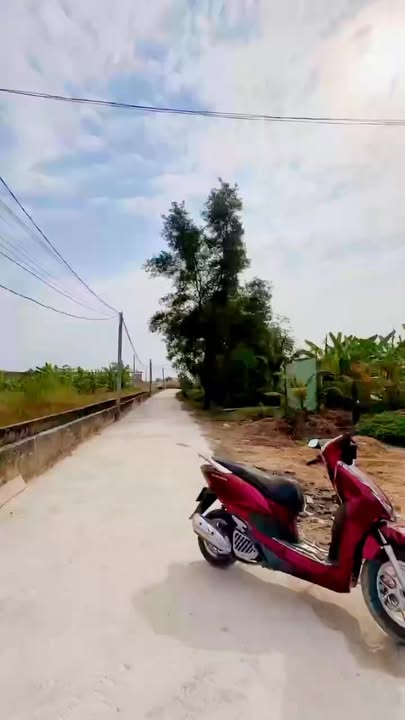 Nhà cấp 4 xã Mỹ Hạnh Bắc, Đức Hòa 110m² giá 1.9 tỷ - Chính chủ bán gấp!