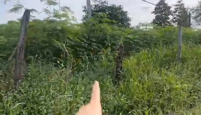 Đất nền tại Xã Krông Na, Huyện Buôn Đôn 720m² chỉ 597.6 triệu - Ô tô vào tận nơi!