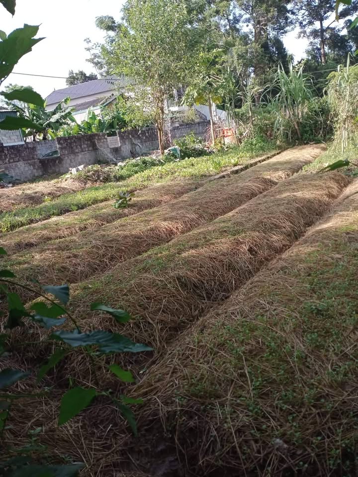 Đất nền huyện Điện Biên 325m² giá 2.925 tỷ - Đầu tư sinh lời lý tưởng!