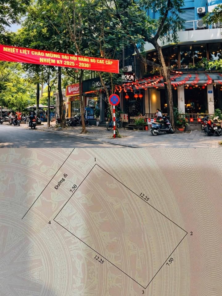 Đất phân lô Nguyễn Khánh Toàn, Cầu Giấy 100m² giá 48 tỷ - Pháp lý rõ ràng, thương lượng