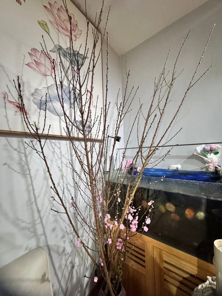 Đất nền 55m² đường Lê Quang Đạo, Phường Đại Mỗ - Đầu tư sinh lời hấp dẫn!