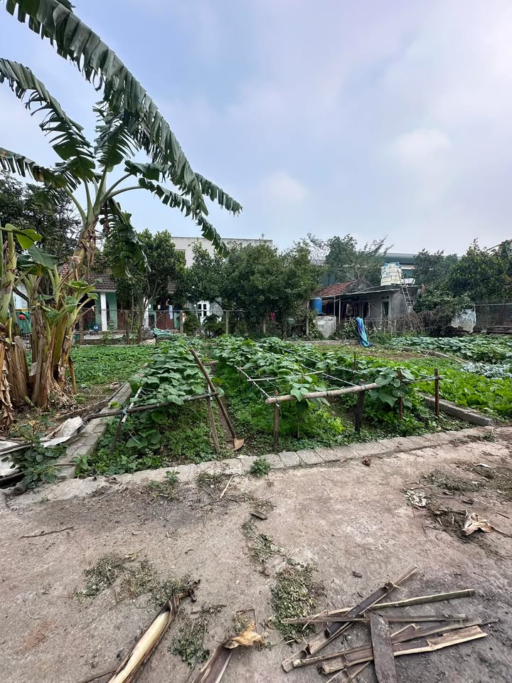 Nhà riêng Thường Tín 42m² giá thỏa thuận - Khu biệt thự dân trí cao!