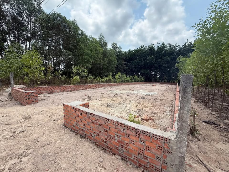 Đất nền khu phố 4, Phường Tân Thành, 391m² giá 2.1 tỷ - Sổ hồng chính chủ!