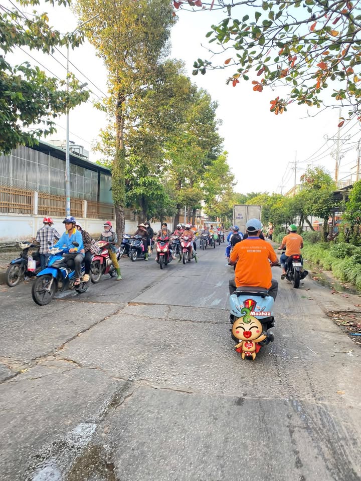 Đất nền đường xuống KCN & Cảng Tắc Cậu, 200m² giá 1.8 tỷ - Đầu tư sinh lời ngay!