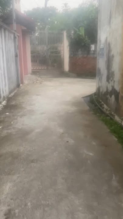 Đất nền Đông Mai, Văn Lâm 76m² giá 1.4 tỷ - Cơ hội đầu tư hấp dẫn!