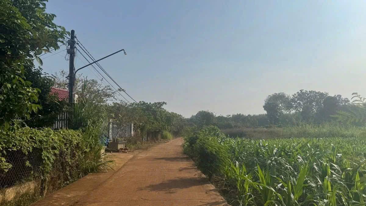 Đất nền thổ cư Phường An Lộc, Bình Long 1200m² giá 600 triệu - Cơ hội đầu tư tốt!