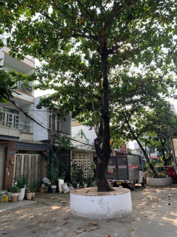 Nhà lô góc Nguyễn Văn Lịch Thủ Đức 84m² giá 8 tỷ - Cơ hội đầu tư hiếm có!