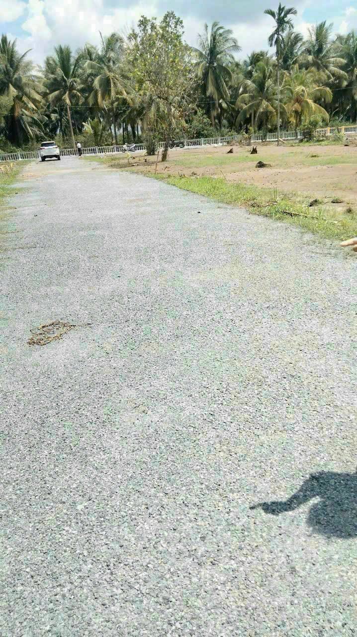 Đất nền xã Châu Hưng, Bình Đại, Vĩnh Long 135m² giá 300 triệu - Cơ hội đầu tư tốt!