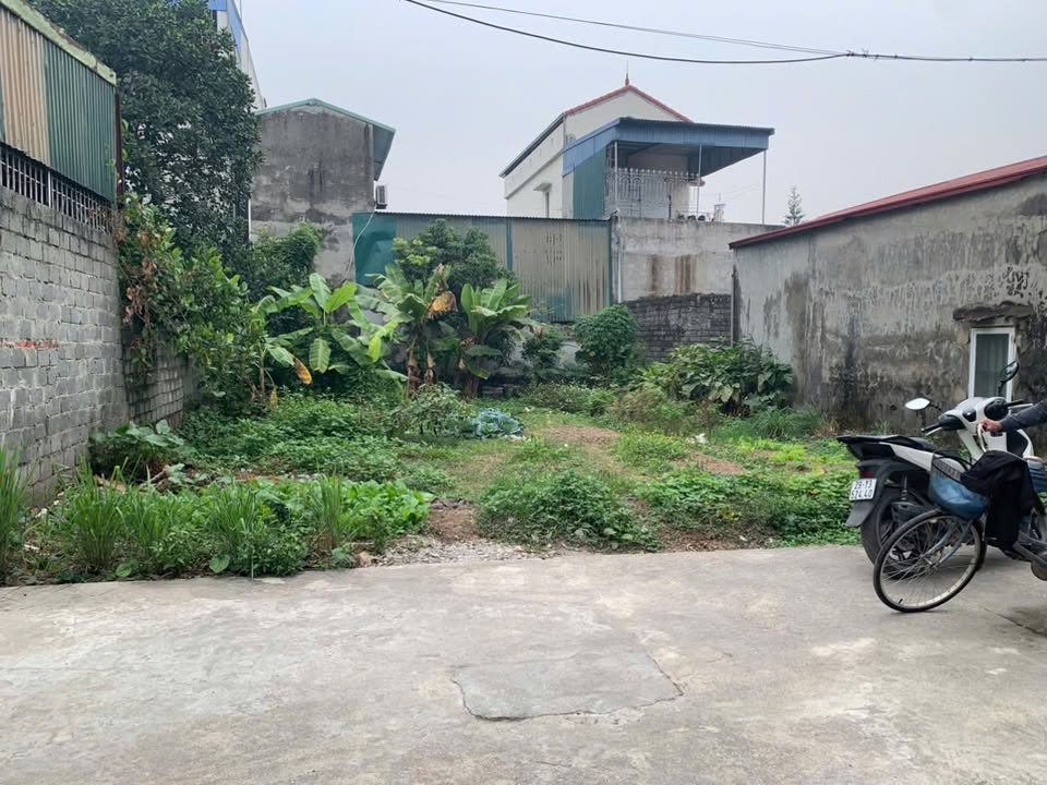 Đất Dư Xá Hạ, Hoài Đức 187m² giá 5.61 tỷ - Mặt tiền 11m, ô tô vào thoải mái!