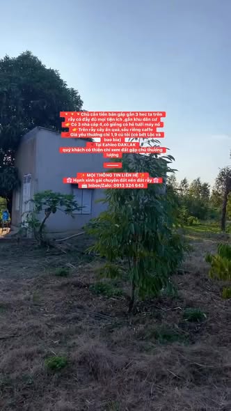 Đất Rẫy 3ha Tại Xã Ea H'leo, Đắk Lắk - Giá 1.9 tỷ, Đầy Đủ Tiện Ích!