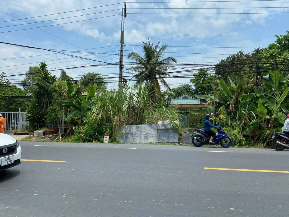 Đất nền An Bình, Huyện Cao Lãnh 216m² giá 2.1 tỷ - Khởi đầu kinh doanh tuyệt vời!