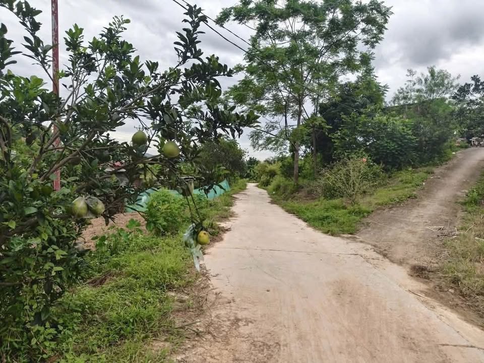 Đất thổ cư 100m² tại xã Phúc Xuân, Thái Nguyên chỉ 6xx - Đầu tư sinh lời ngay!