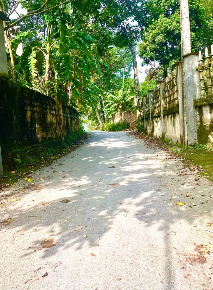 Đất nền siêu phẩm Tam Dương - 102.6m² giá chỉ 700 triệu - Đường trải affan đẹp!