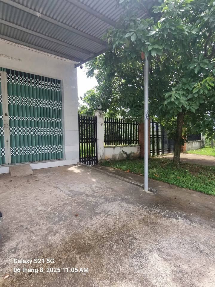 Khu nhà vườn Phố Suối Nhum, Phường Hắc Dịch, 17280m² giá 7.33 tỷ - Đầu tư sinh lời tuyệt vời!