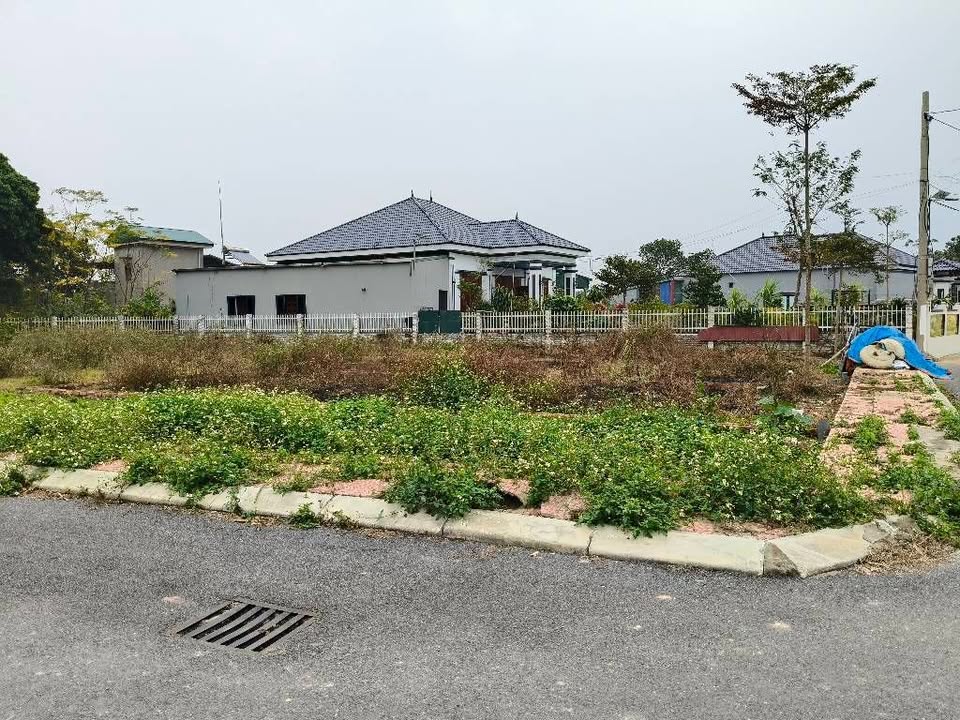 Đất nền lô góc Gò Gạo - Minh Trí, Sóc Sơn 100m² giá chỉ 2.x tỷ - Đầu tư sinh lời ngay!