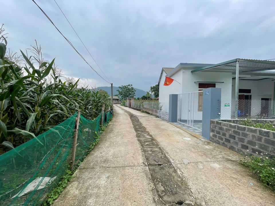 Đất thổ cư 150m² tại Ba Vì 728m² giá chỉ 2 tỷ - Chính chủ bán gấp!