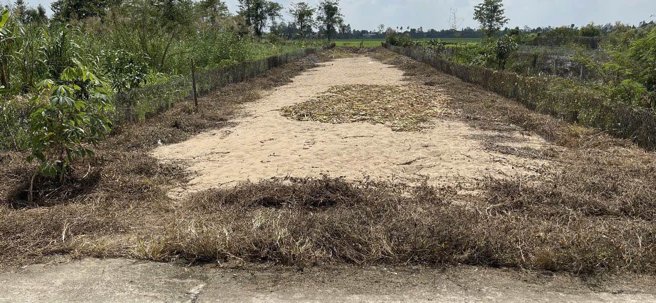 Đất nền mặt tiền đường Đan, xã Nhị Mỹ, 450m² - Giá chỉ 600 triệu!