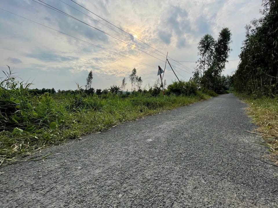 Đất nền xã Bình Thành 796m² giá 1.499 tỷ - Tiềm năng đầu tư vượt trội!