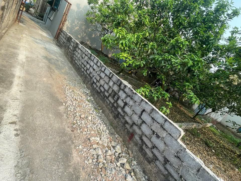 Nhà riêng Đông Đoài, Thị trấn Phú Xuyên 55m² giá 1.85 tỷ - Tiện ích đầy đủ!