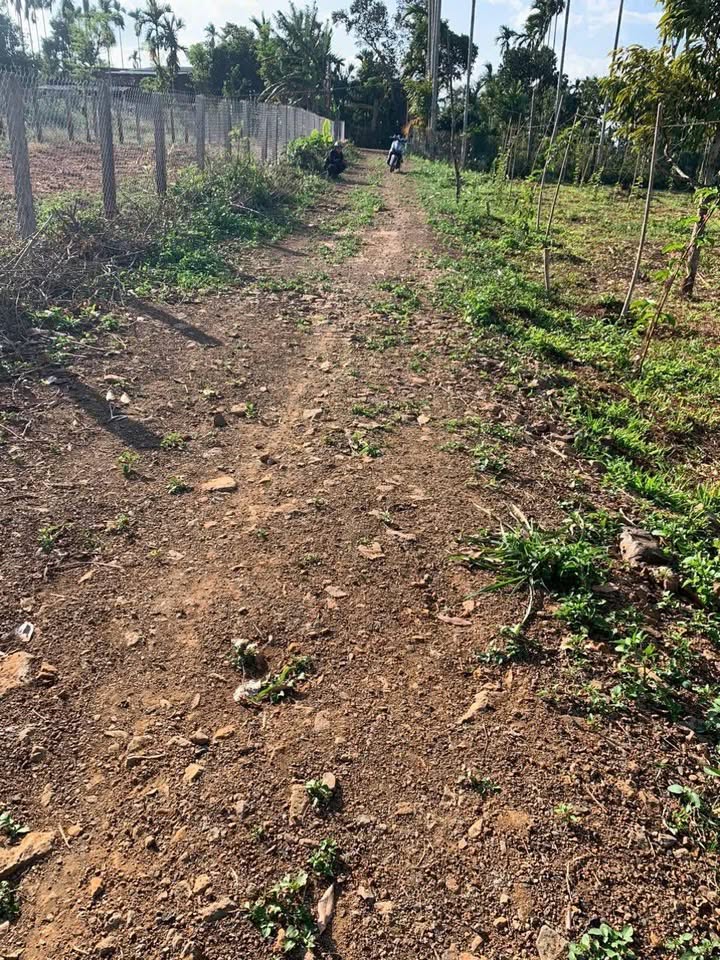 Đất thổ cư Phú Xuân, Krông Năng 3250m² giá chỉ 79 triệu - Đối diện chợ, vị trí đẹp!