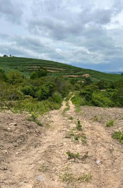 Đất nền 10ha tại M'Đrắk, Đắk Lắk giá 5 tỷ - Pháp lý rõ ràng