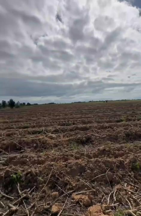 Đất nông nghiệp cho thuê tại Ea Súp, Đắk Lắk 500.000m² chỉ 8 triệu/năm - Cơ hội đầu tư hấp dẫn!