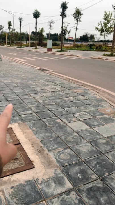 Lô đất vàng tại đường 24m Xuân Hương, 90m² giá 3 tỷ - Đầu tư sinh lời hấp dẫn!