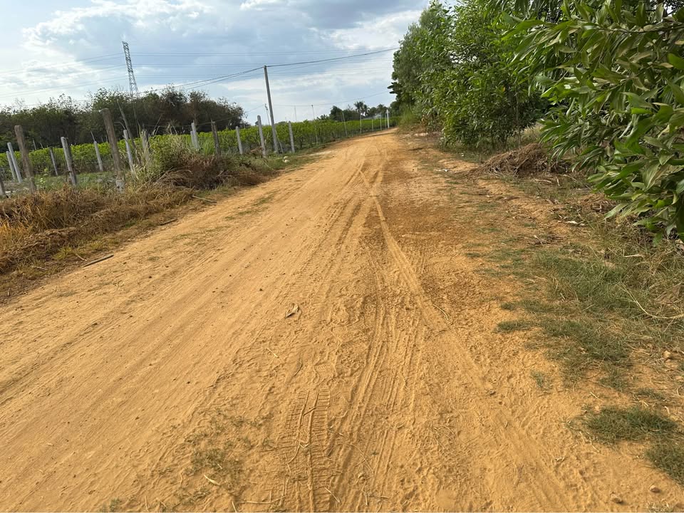 Đất nền Trà Vong, Tây Ninh 125m² giá chỉ 179 triệu - Cơ hội đầu tư hấp dẫn!