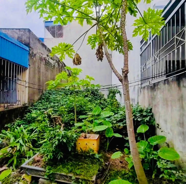 Đất nền Phường Năng Tĩnh, Nam Định 56m² giá 1.49 tỷ - Đầu tư ngay!