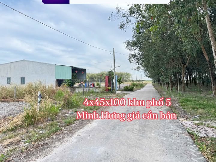 Đất thổ cư 225m² tại Khu phố 5 Minh Hưng chỉ 400 triệu - Cơ hội đầu tư hấp dẫn!