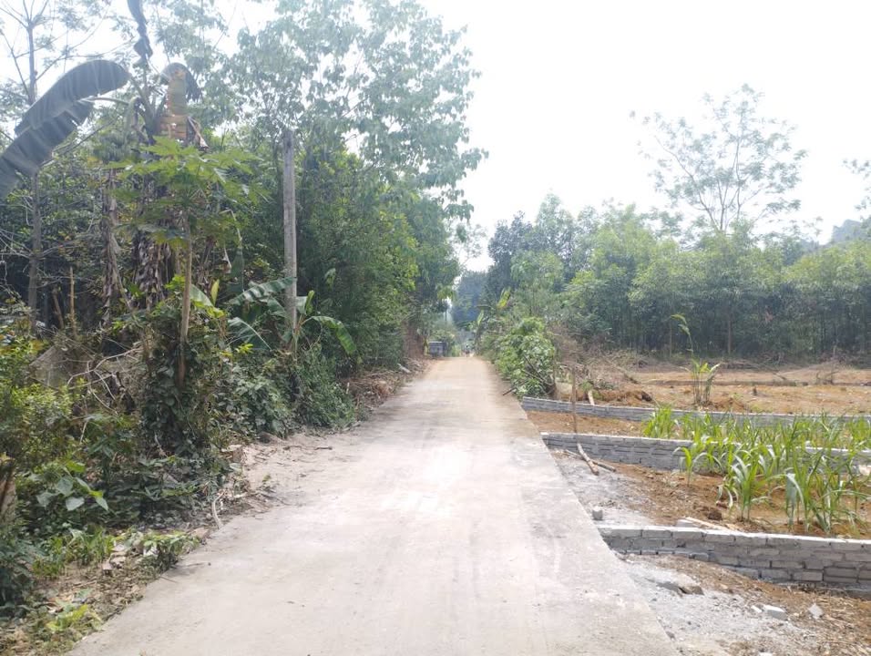 Đất nền Phường An Tường 387.7m² giá chỉ 900 triệu - Sổ đỏ chính chủ!