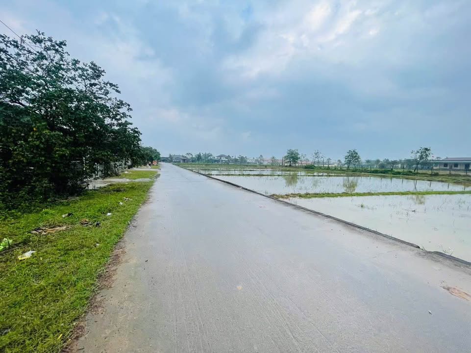 Đất thổ cư Thạch Xuân 164m² giá 800 triệu - Không thể bỏ lỡ!