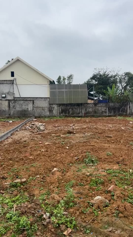 Đất nền xóm 2 Đà Sơn, Đô Lương 145m² giá chỉ 1 tỷ - Cơ hội đầu tư hiếm có!