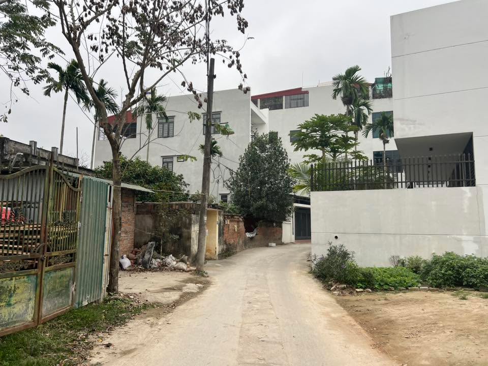 Nhà cấp 4 chùa Nghĩa Phủ, Sơn Tây 100m² - Giá thỏa thuận hấp dẫn!