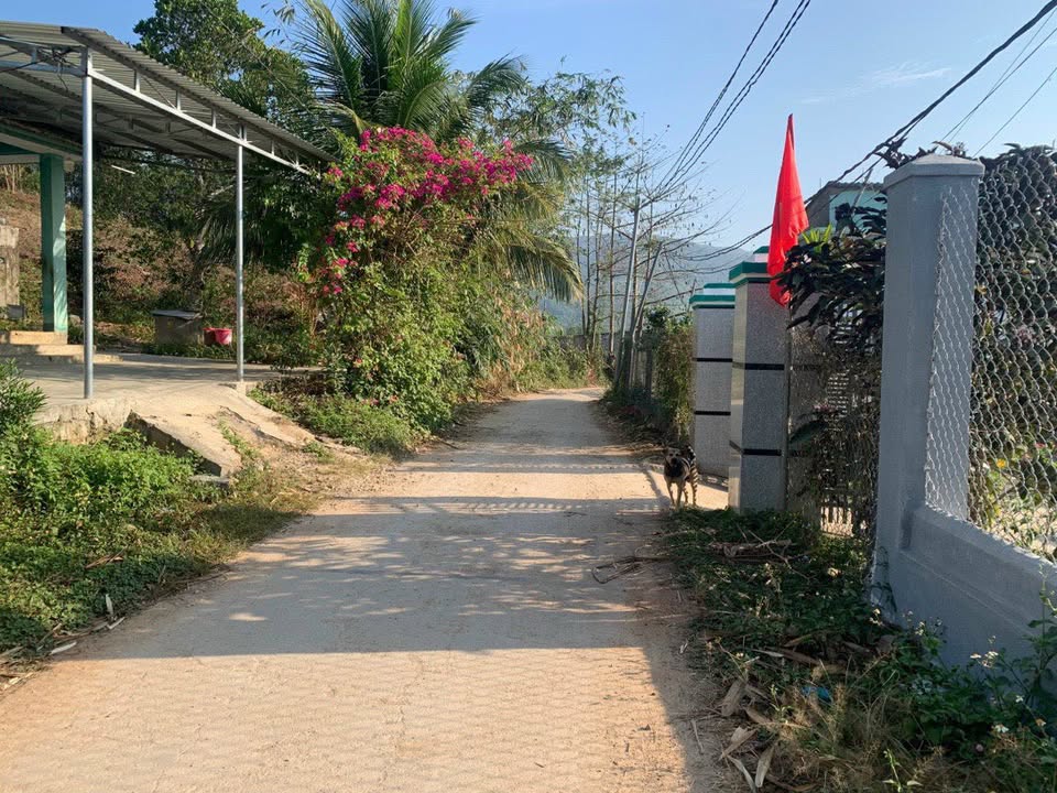 Đất nền Suối Thơm - Khánh Đông 364m² giá 390 triệu - Sổ đỏ chính chủ!