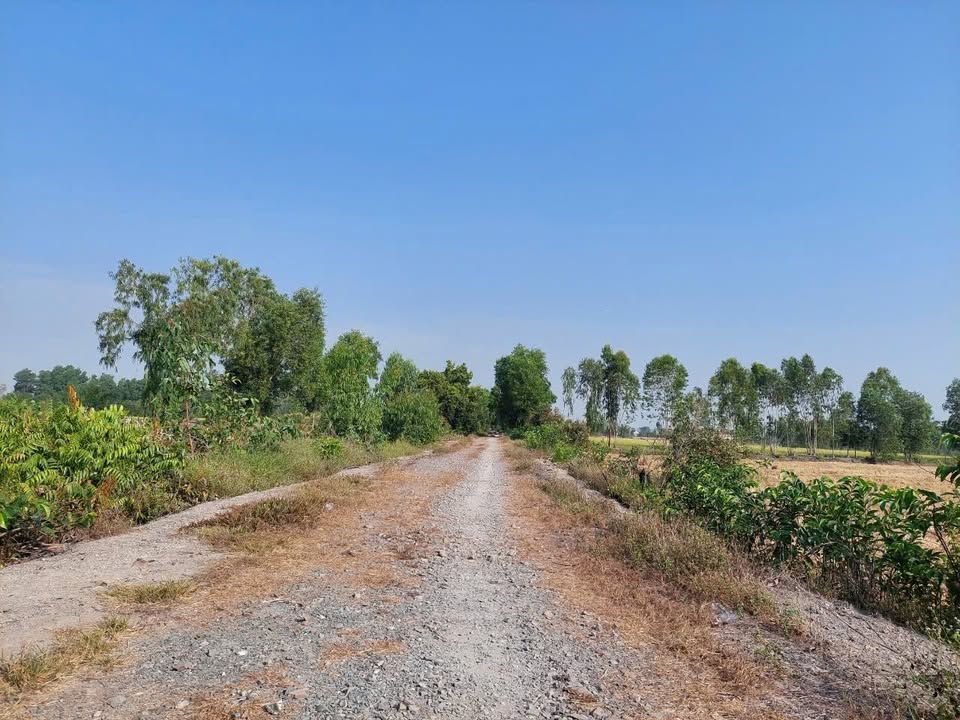 Đất nền 2700m² Hòa Khánh Tây, Đức Hòa giá 2.1 tỷ - Sổ hồng chính chủ!