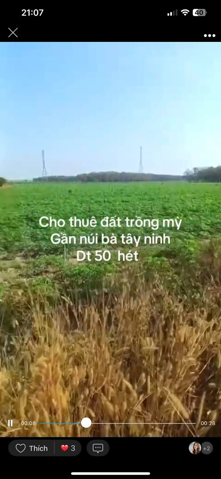 Đất Farm cho thuê 50ha tại Xã Thạnh Tân - Giá chỉ 160 triệu/năm!