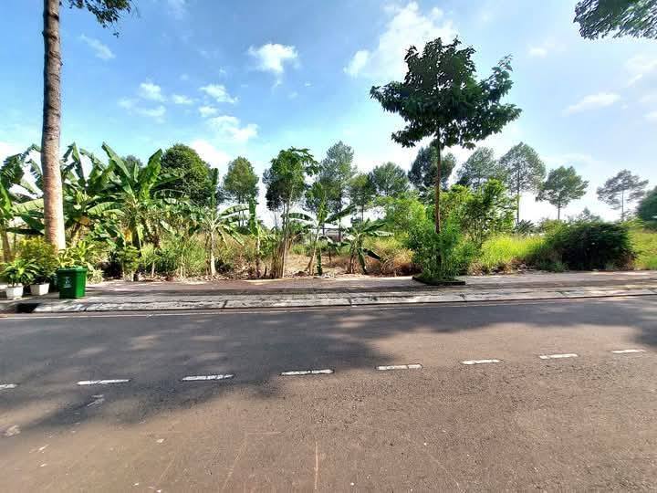 Đất Tái định cư Suối Chồn - 98m² giá 2.1 tỷ - Sổ đỏ chính chủ!