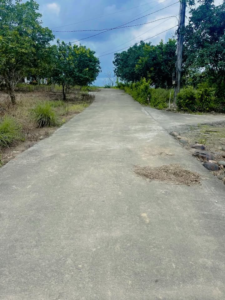 Đất thổ cư Huỳnh Trúc, Phong Thu 156m² giá chỉ 1 tỷ - Cơ hội đầu tư tốt!