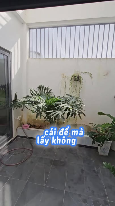 Nhà đẹp 1 lầu KĐT Licogi Cà Mau 75m² chỉ 1 tỷ - Sẵn sàng ở ngay!