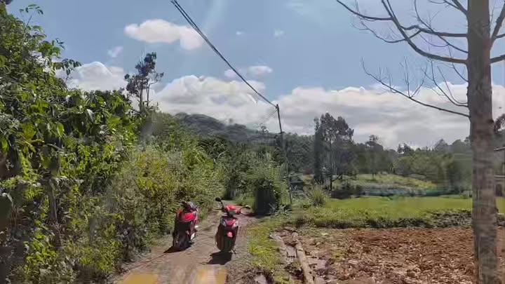 Đất nền 4 sào tại Liên Đầm, Di Linh, giá chỉ 1.1 tỷ - Cơ hội đầu tư tuyệt vời!