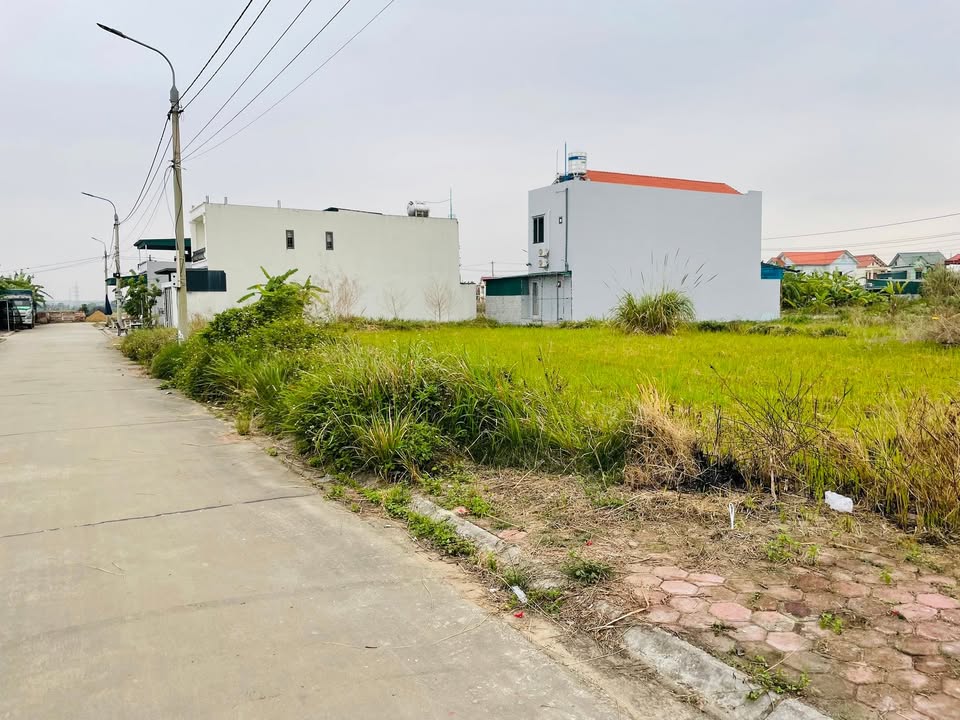 Đất nền Cẩm Giàng 100m² giá chỉ 1 tỷ - Đầu tư sinh lời dễ dàng!