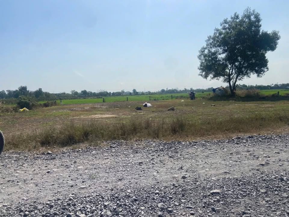 Đất vườn Tân Thạnh Đông, Củ Chi 504m² giá 3.5 tỷ - Cơ hội đầu tư hấp dẫn!